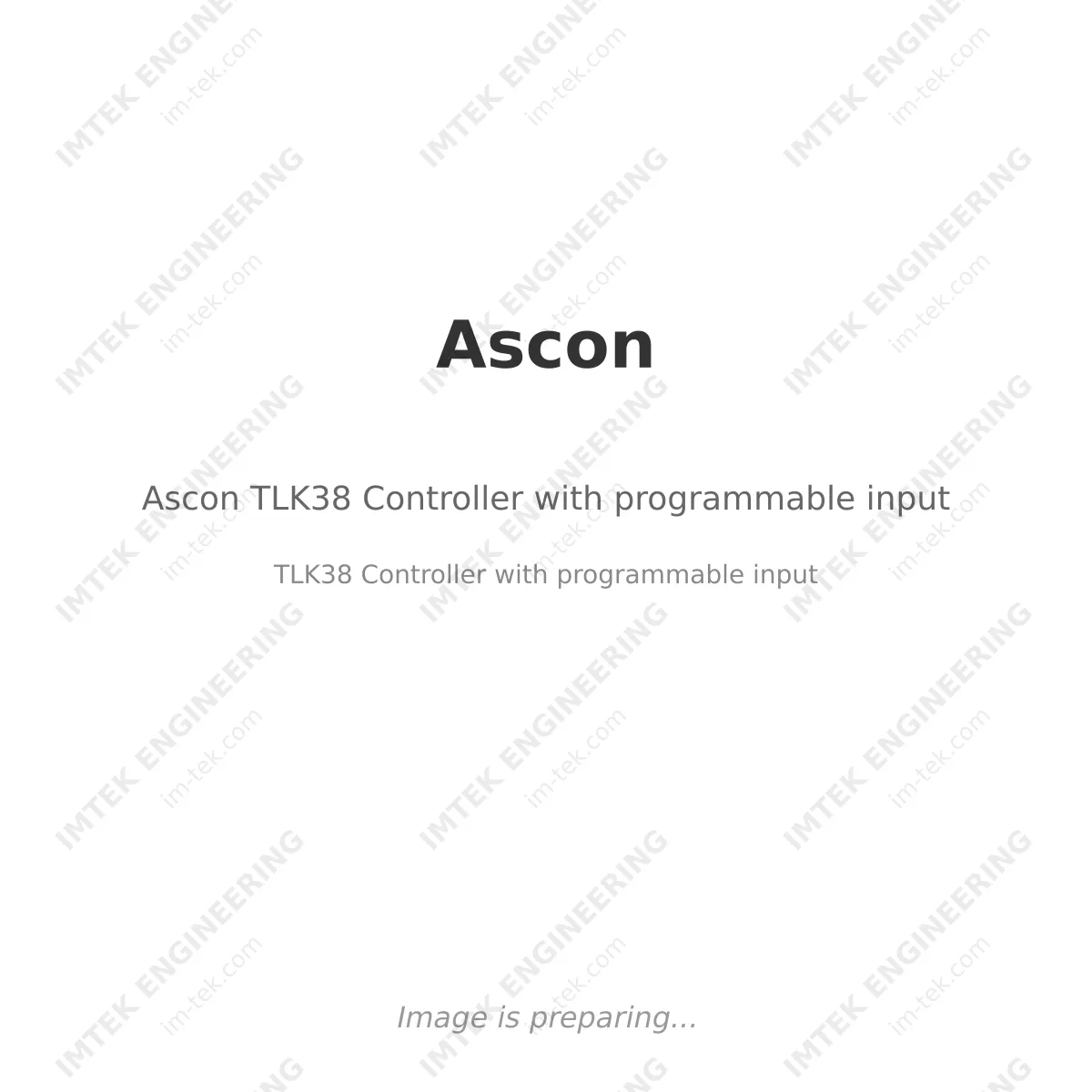 Ascon Ascon TLK38 Controller with programmable input - TLK38 Controller with programmable input