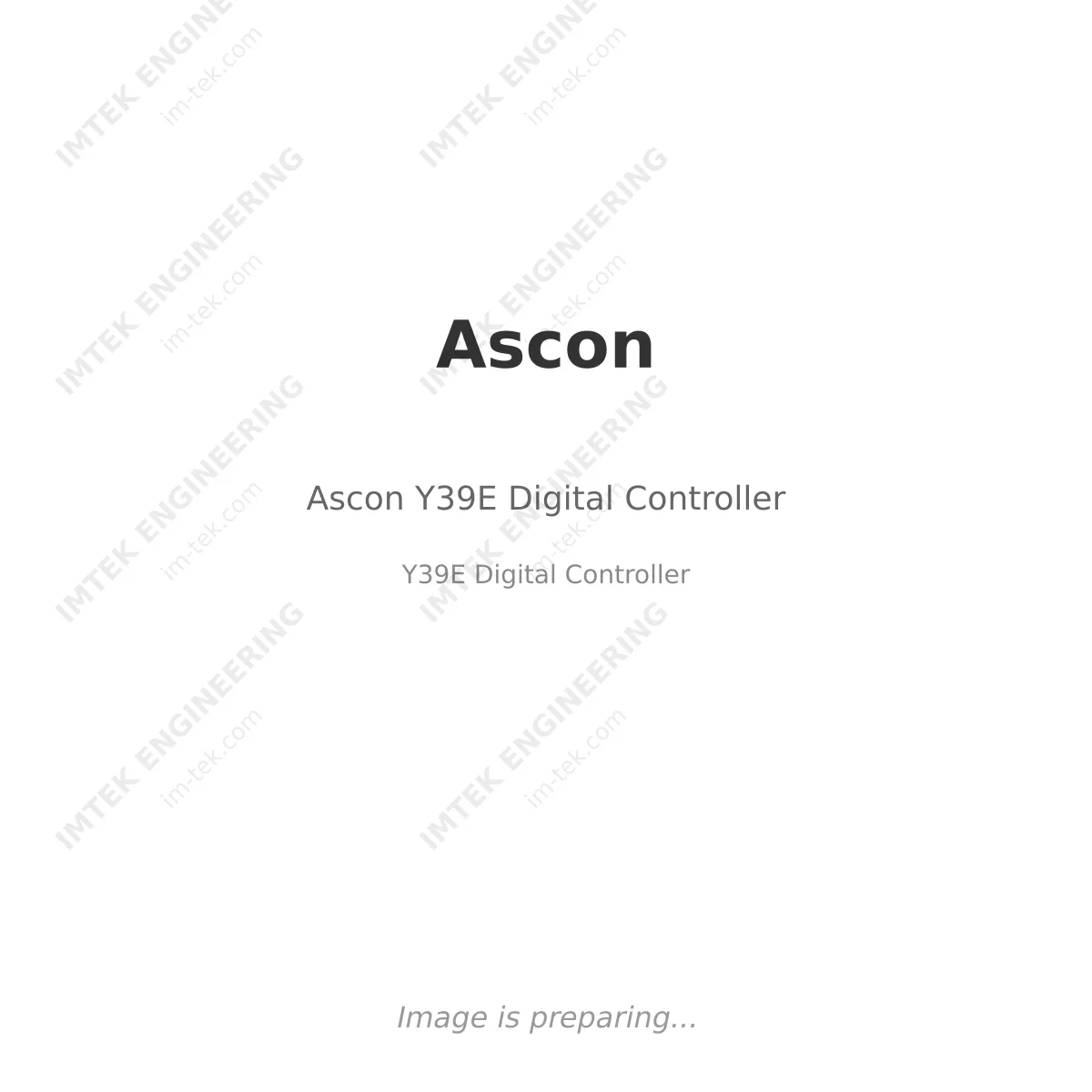 Ascon Ascon Y39E Digital Controller - Y39E Digital Controller