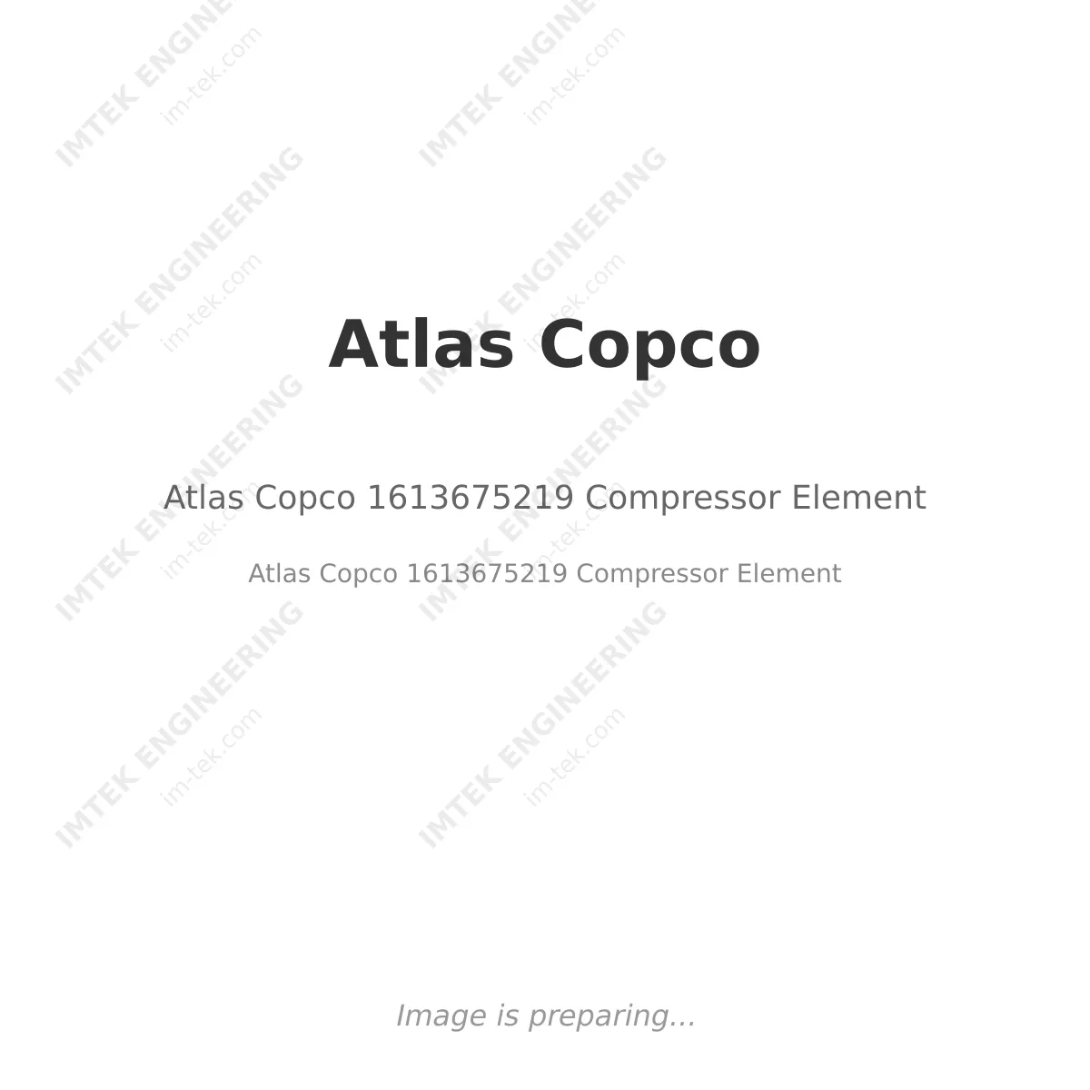 Atlas Copco Atlas Copco 1613675219 Compressor Element - Atlas Copco 1613675219 Compressor Element