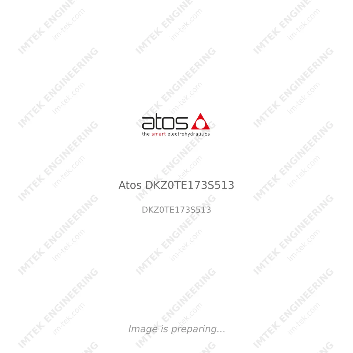 Atos Atos DKZ0TE173S513 - DKZ0TE173S513