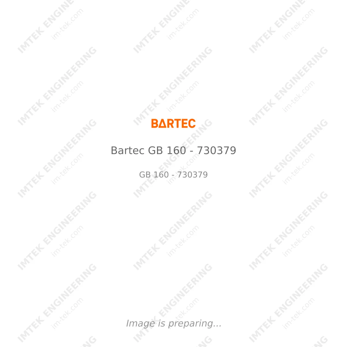 Bartec Bartec GB 160 - 730379 - GB 160 - 730379