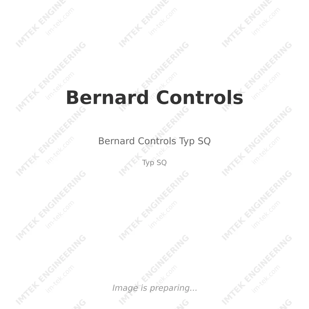 Bernard Controls Bernard Controls Typ SQ - Typ SQ