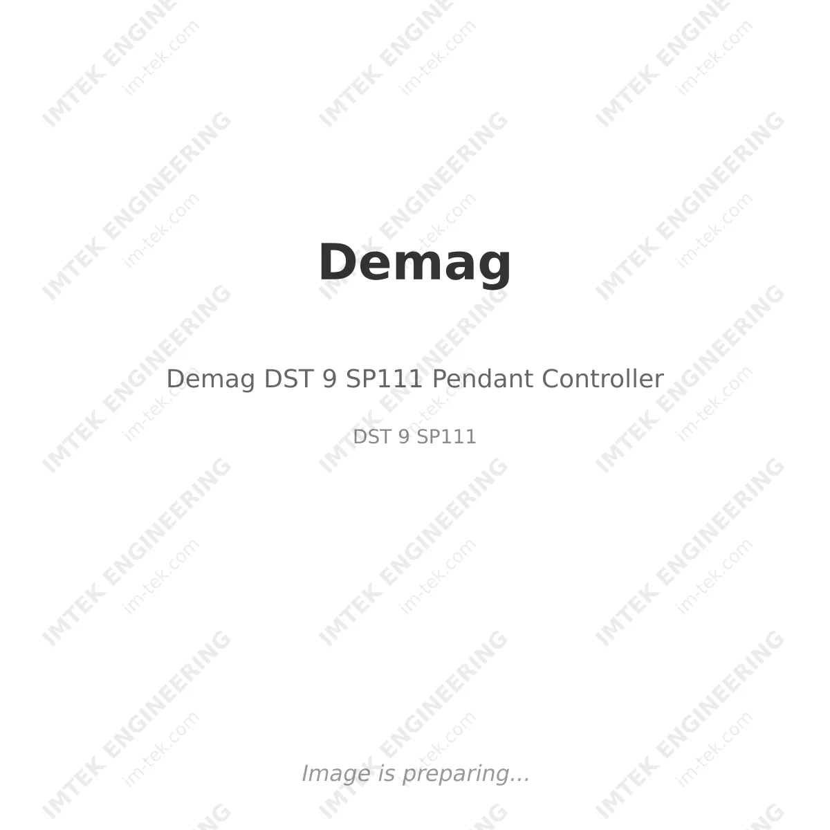 Demag Demag DST 9 SP111 Pendant Controller - DST 9 SP111