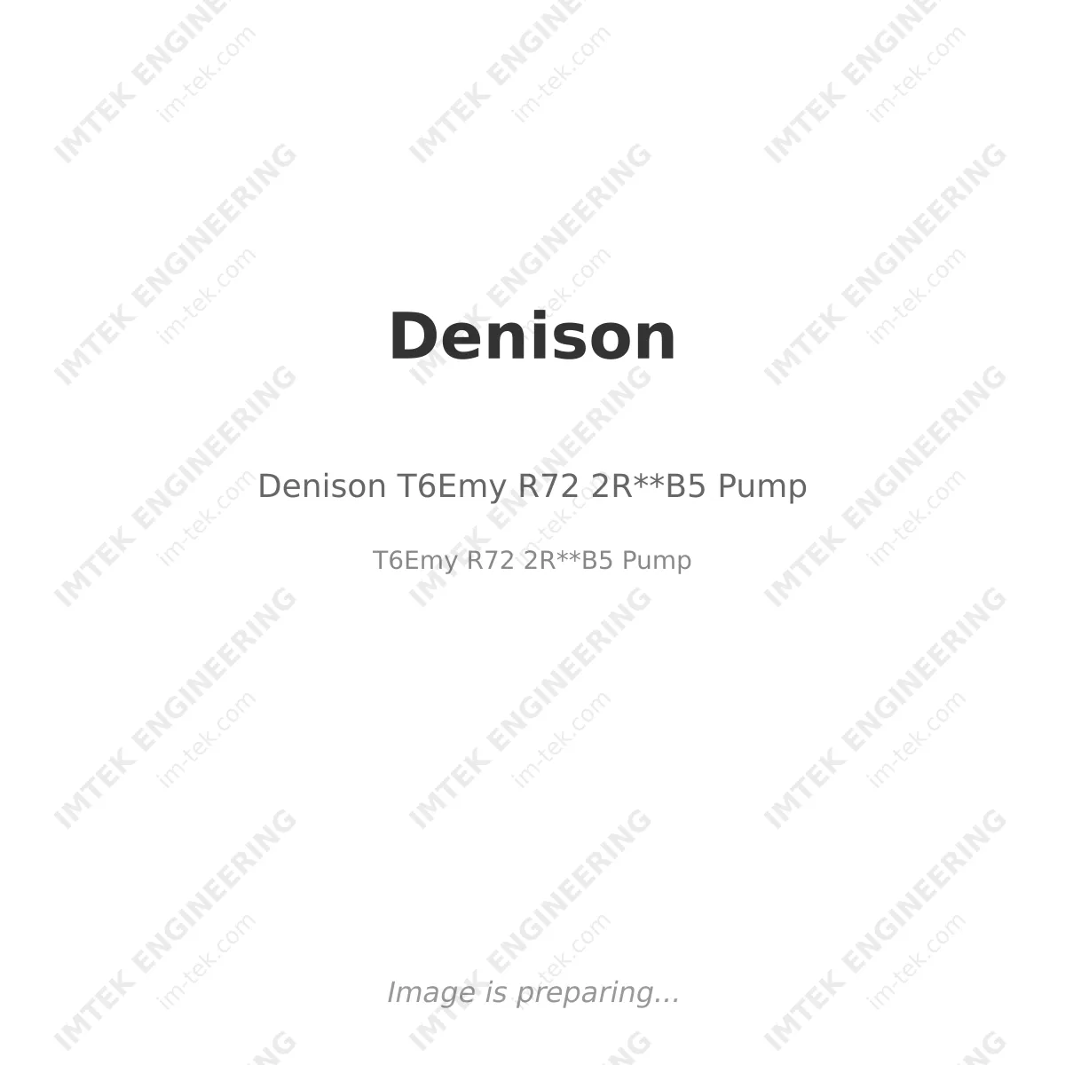 Denison Denison T6Emy R72 2R**B5 Pump - T6Emy R72 2R**B5 Pump