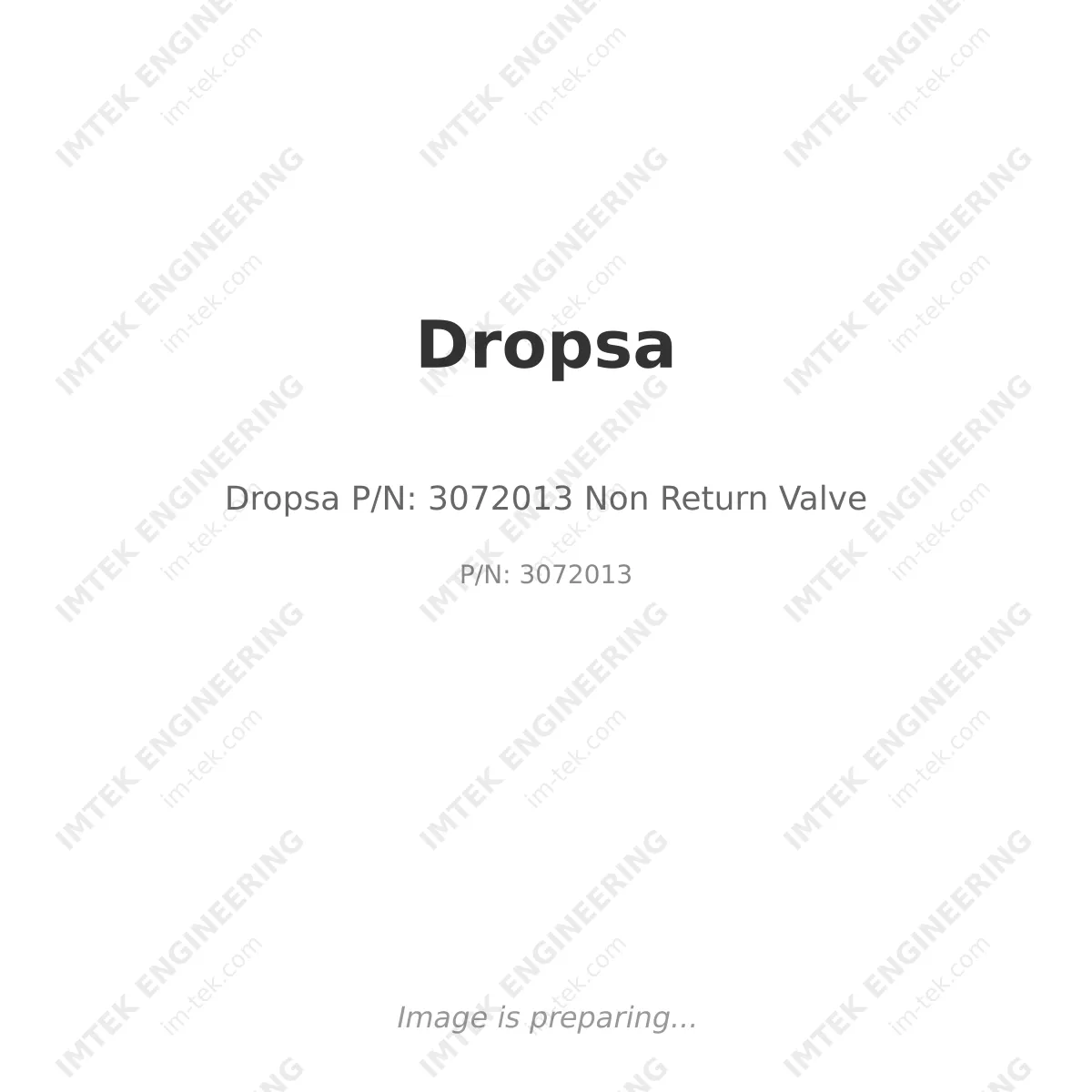 Dropsa Dropsa P/N: 3072013 Non Return Valve - P/N: 3072013