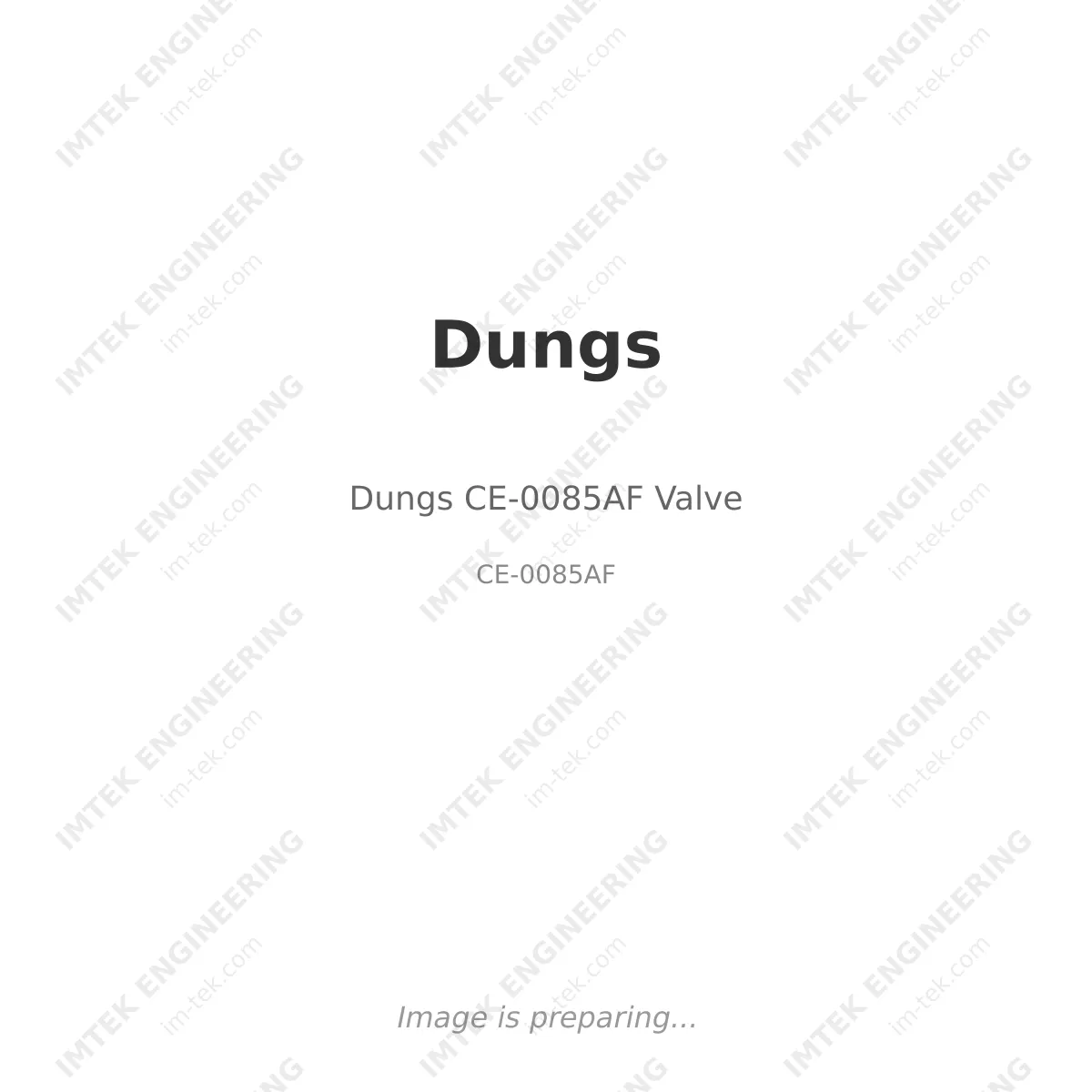Dungs Dungs CE-0085AF Valve - CE-0085AF