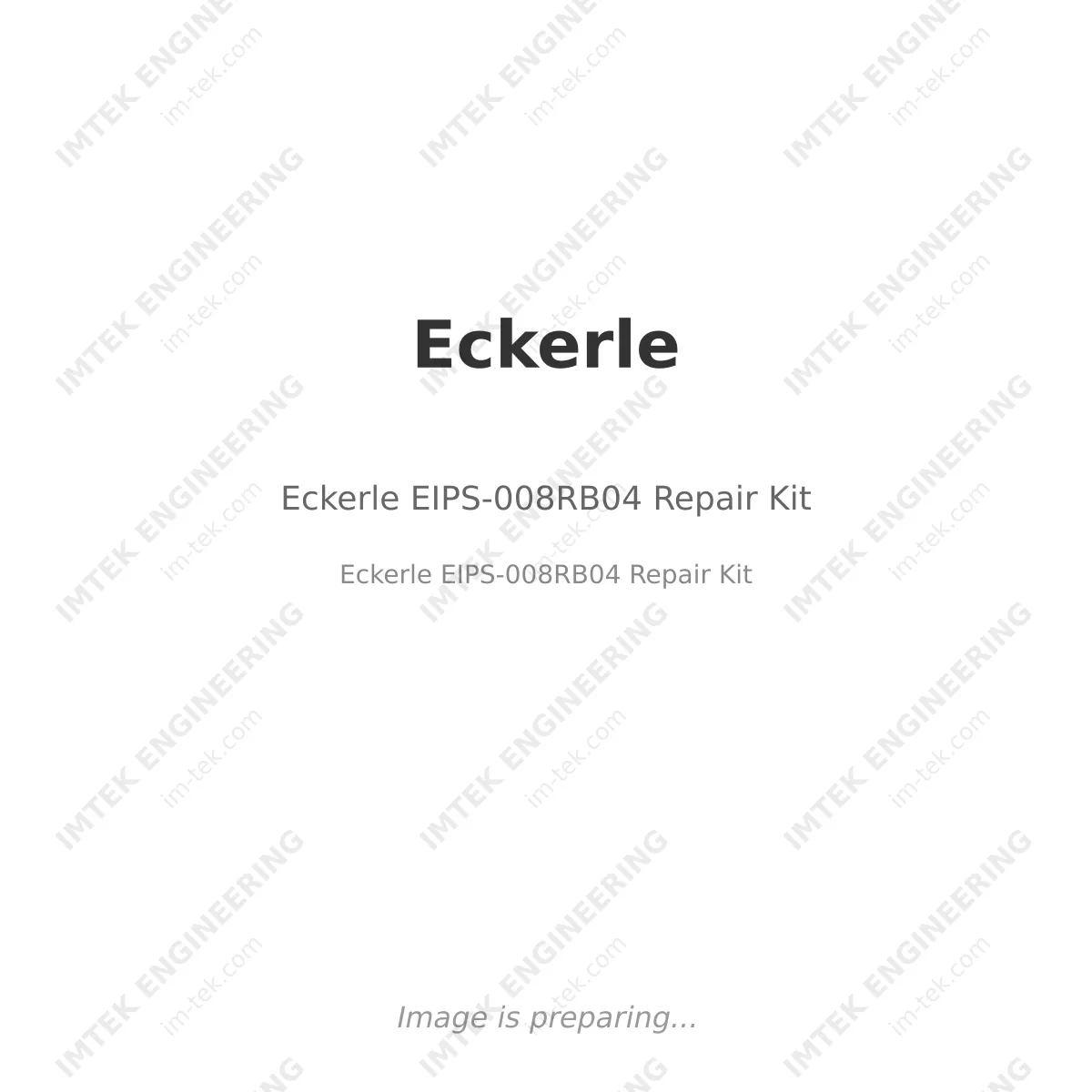 Eckerle Eckerle EIPS-008RB04 Repair Kit - Eckerle EIPS-008RB04 Repair Kit