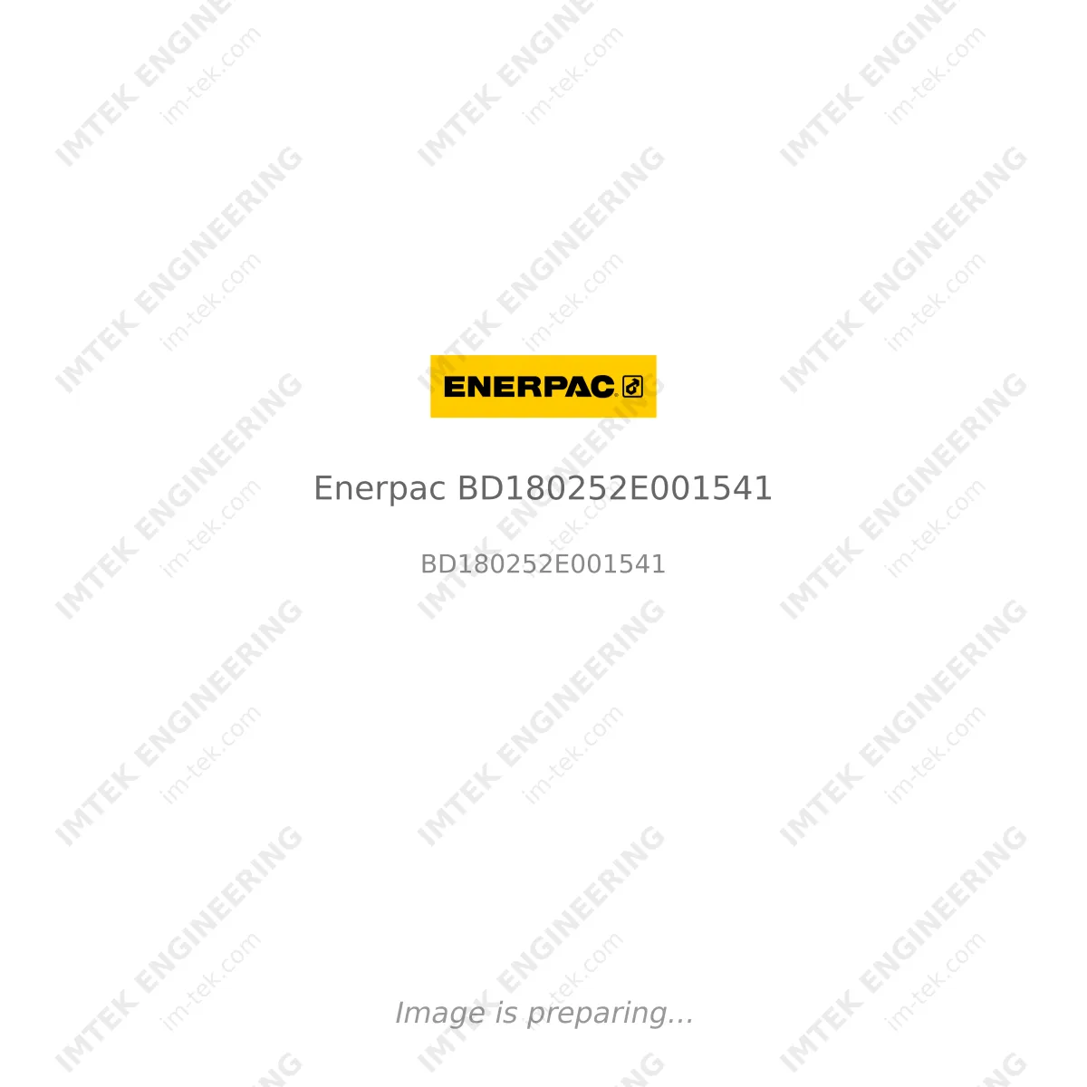 Enerpac Enerpac BD180252E001541 - BD180252E001541
