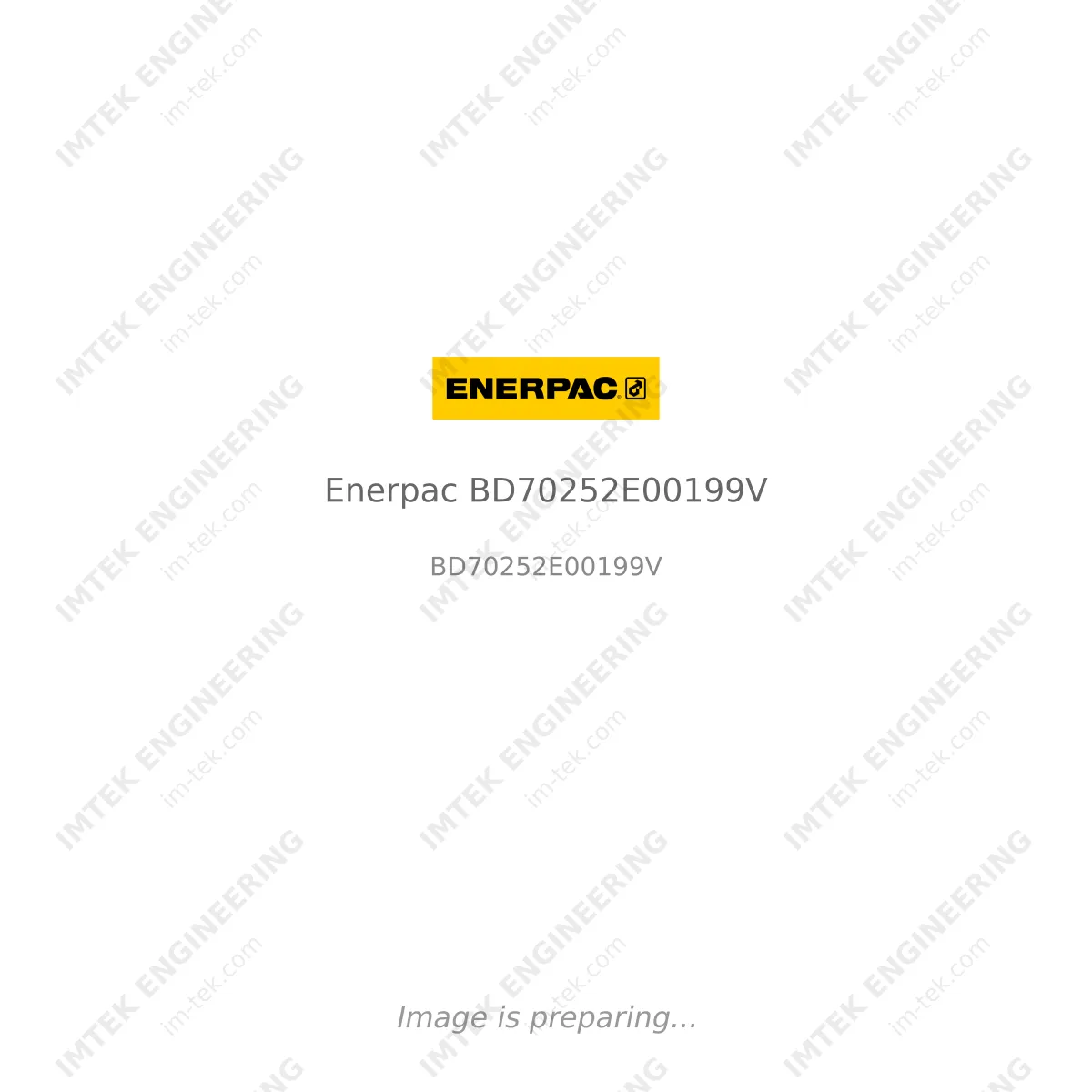 Enerpac Enerpac BD70252E00199V - BD70252E00199V