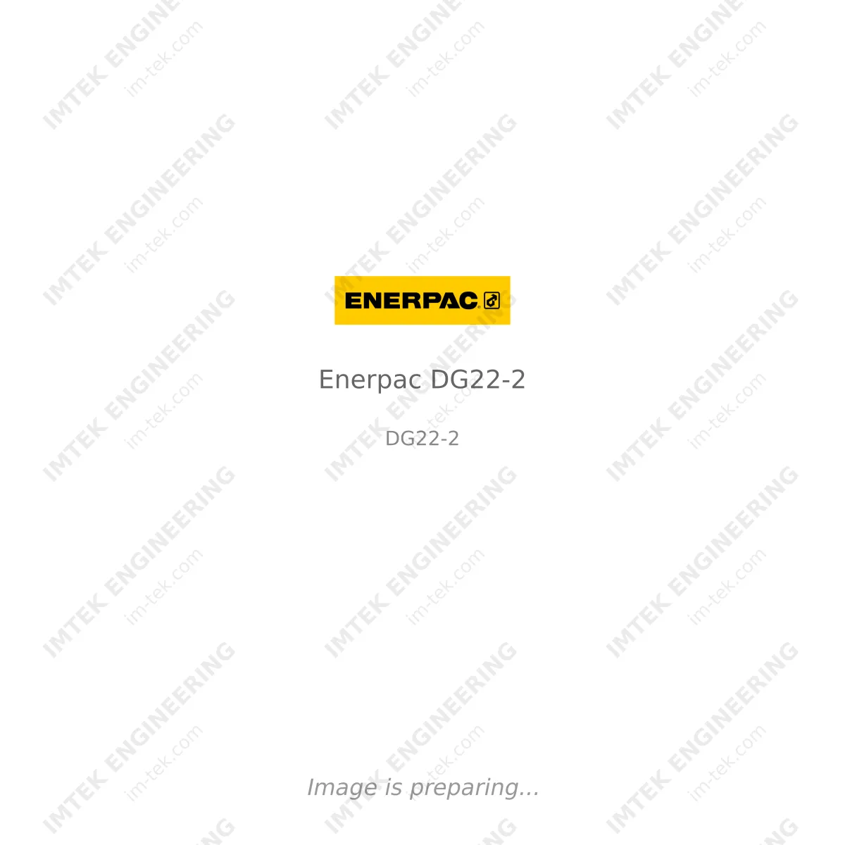 Enerpac Enerpac DG22-2 - DG22-2