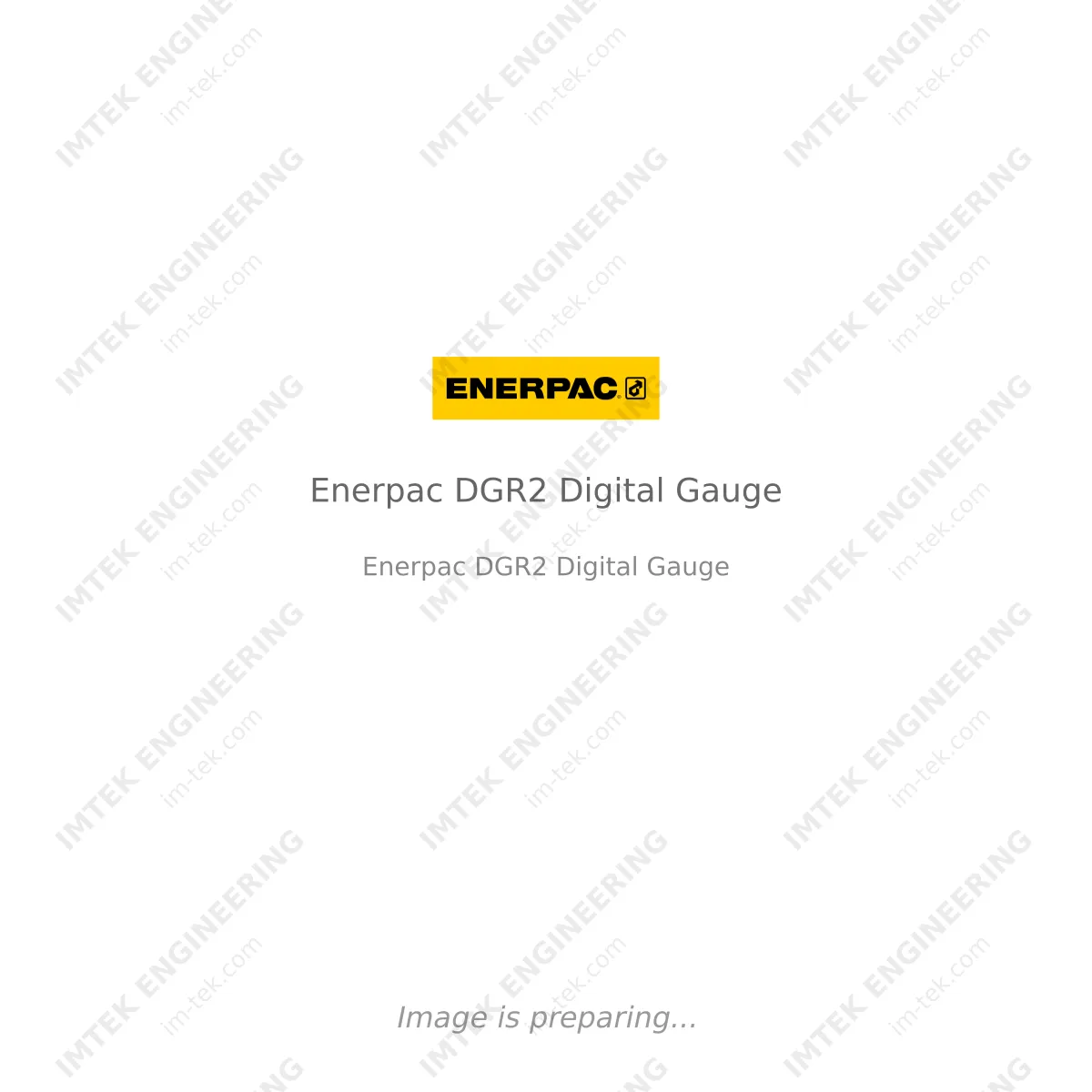 Enerpac Enerpac DGR2
 Digital Gauge - Enerpac DGR2
 Digital Gauge