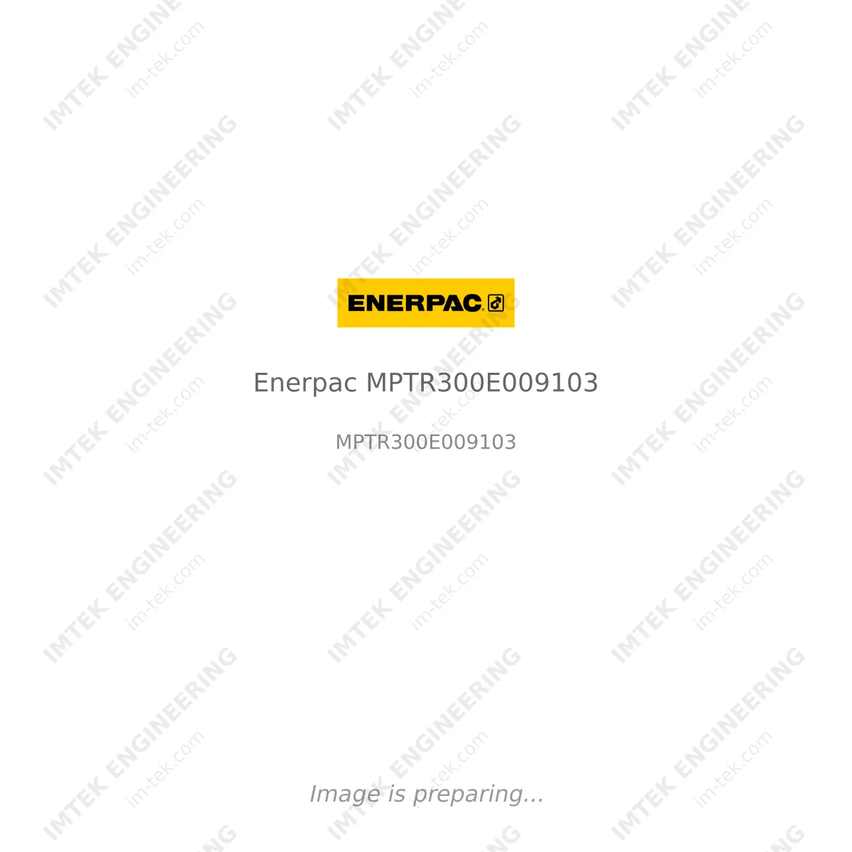 Enerpac Enerpac MPTR300E009103 - MPTR300E009103