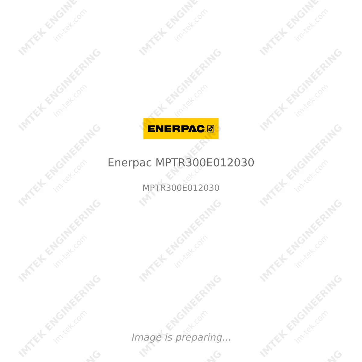 Enerpac Enerpac MPTR300E012030 - MPTR300E012030