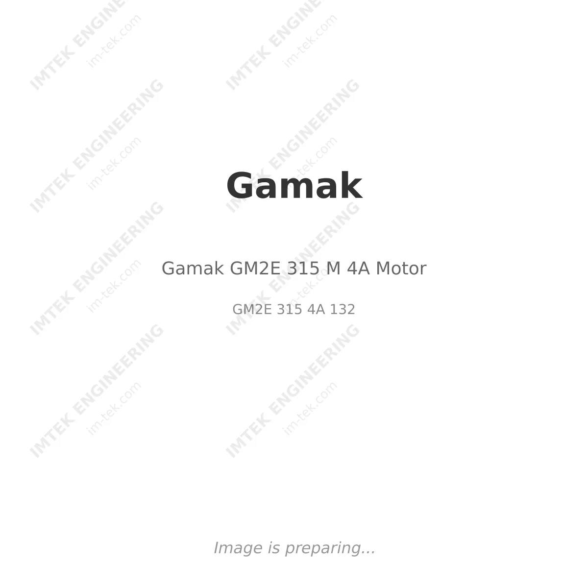 Gamak Gamak GM2E 315 M 4A Motor - GM2E 315 4A 132
