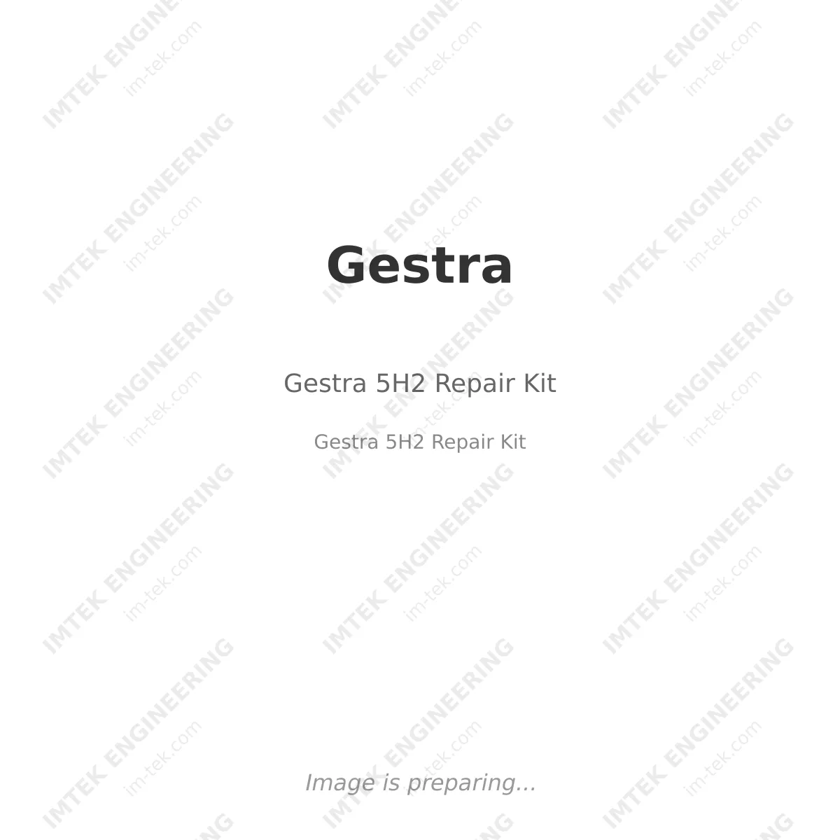 Gestra Gestra 5H2 Repair Kit - Gestra 5H2 Repair Kit
