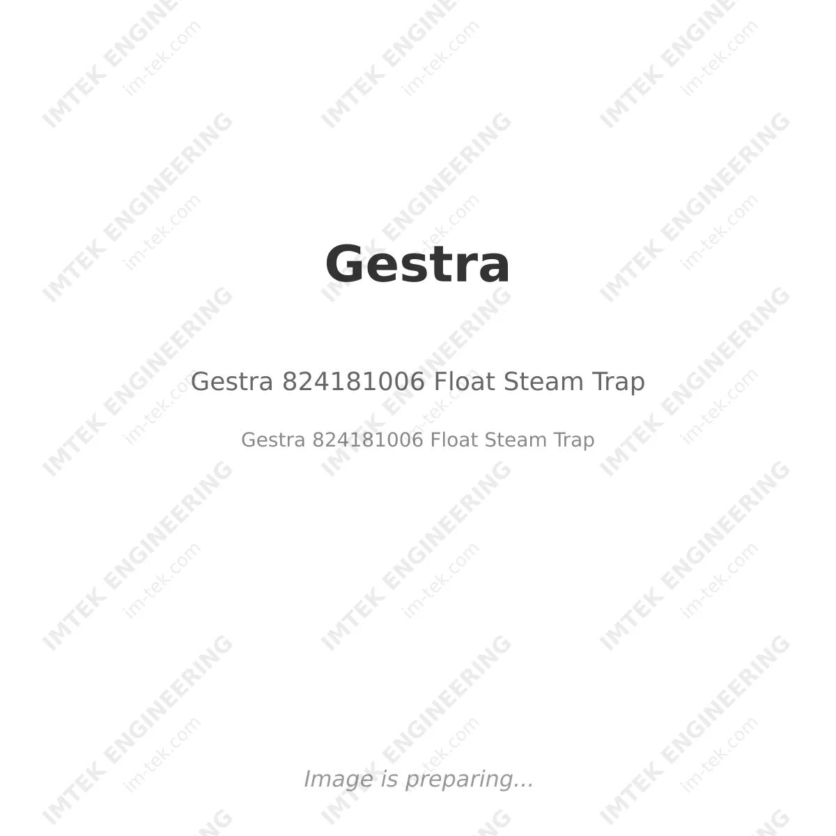 Gestra Gestra 824181006 Float Steam Trap - Gestra 824181006 Float Steam Trap