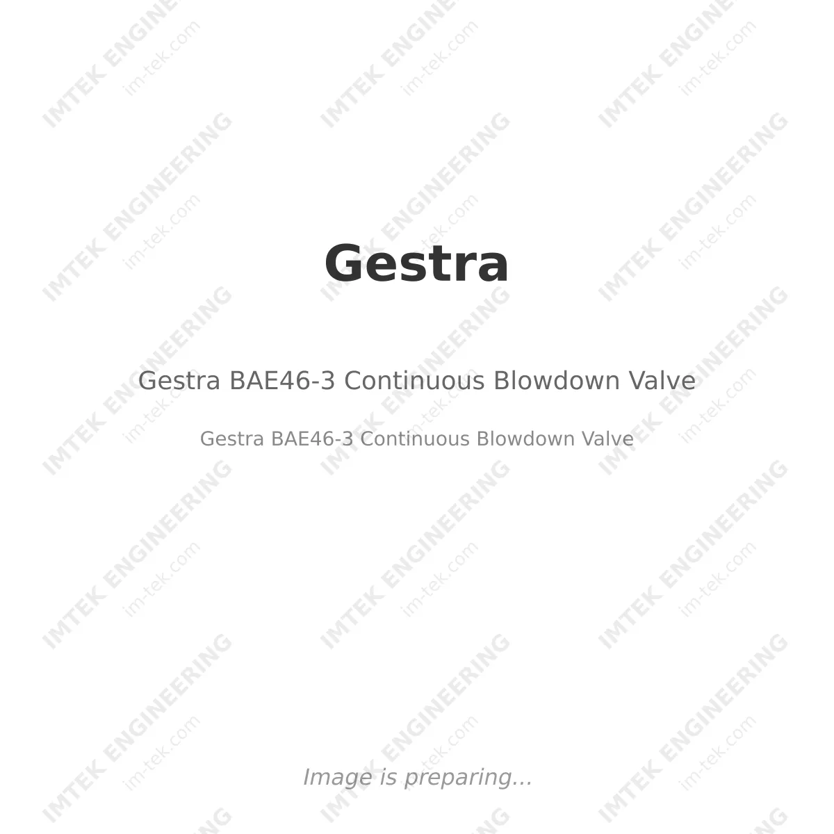Gestra Gestra BAE46-3 Continuous Blowdown Valve - Gestra BAE46-3 Continuous Blowdown Valve