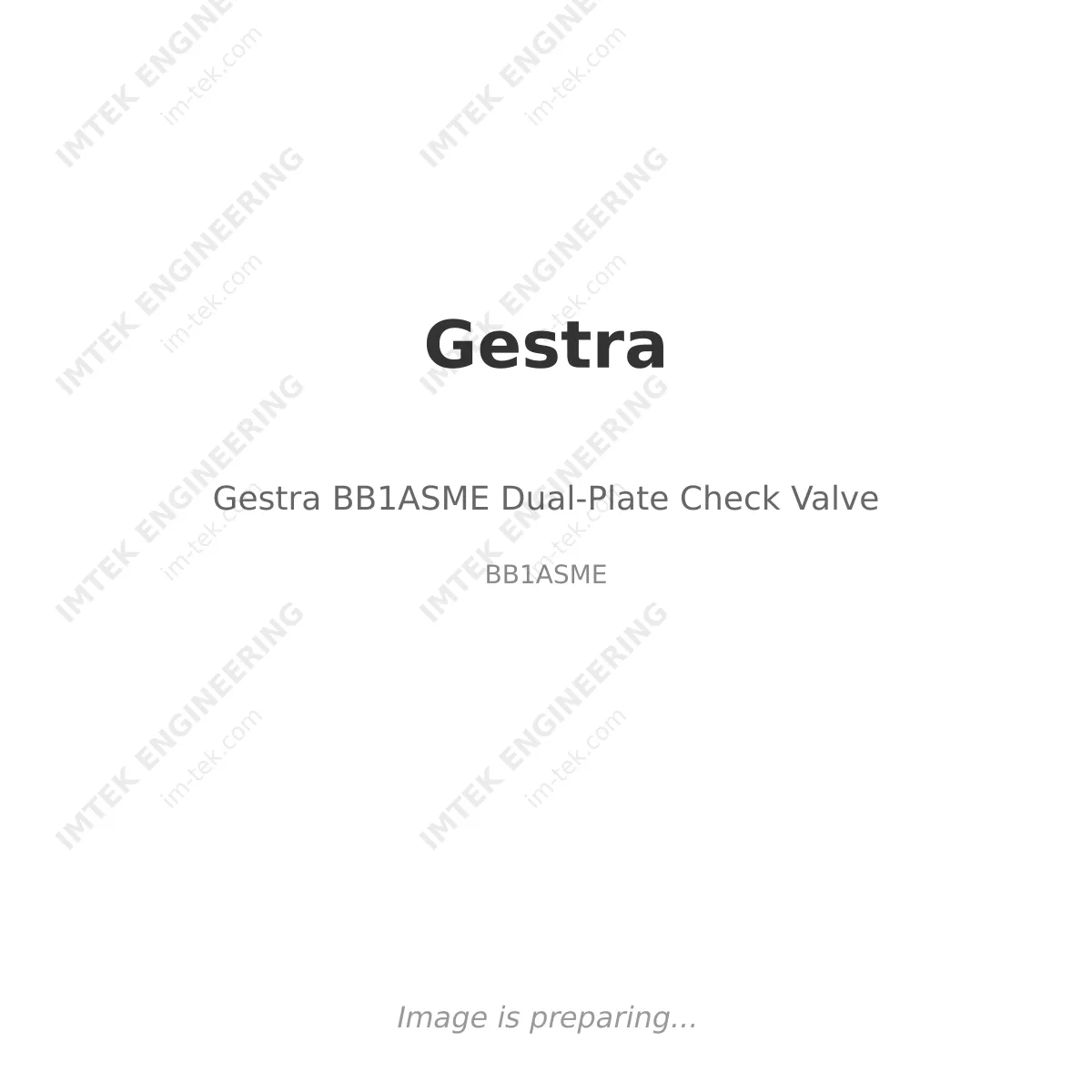 Gestra Gestra BB1ASME Dual-Plate Check Valve - BB1ASME