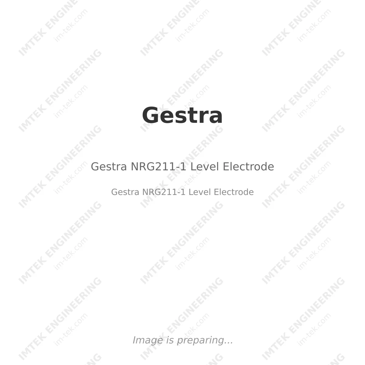 Gestra Gestra NRG211-1 Level Electrode - Gestra NRG211-1 Level Electrode