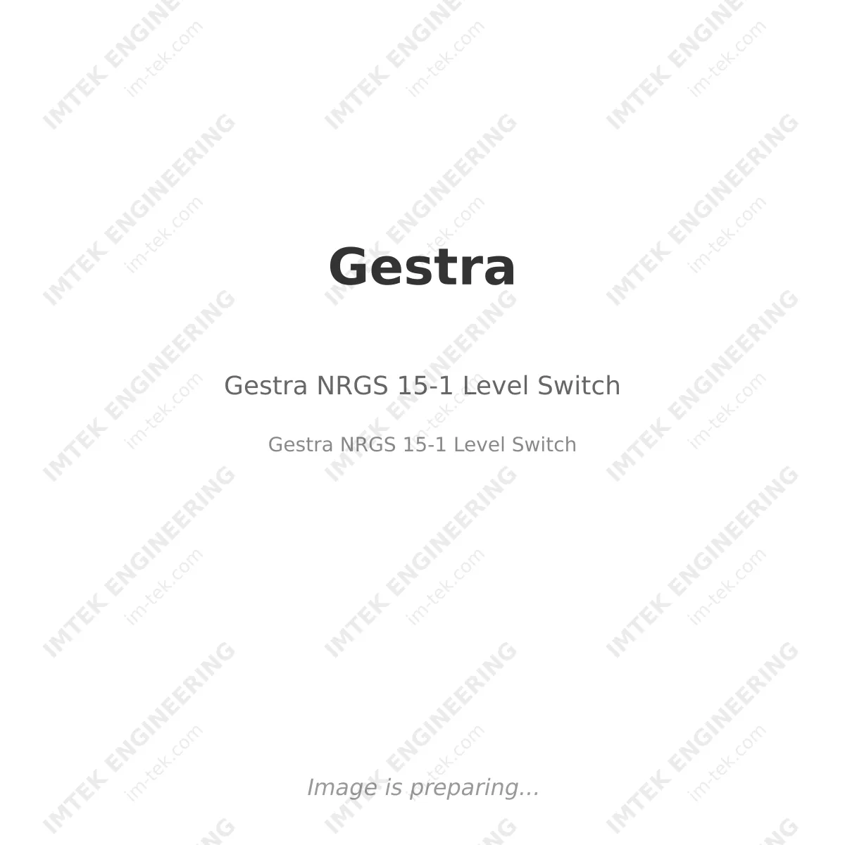 Gestra Gestra NRGS 15-1 Level Switch - Gestra NRGS 15-1 Level Switch