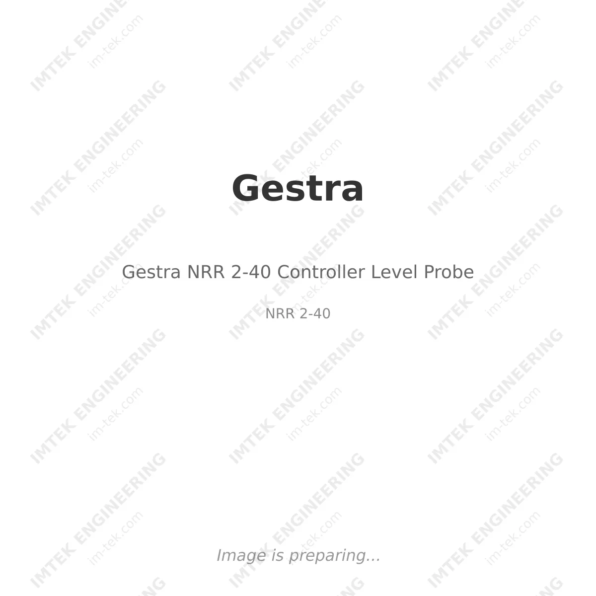 Gestra Gestra NRR 2-40 Controller Level Probe - NRR 2-40