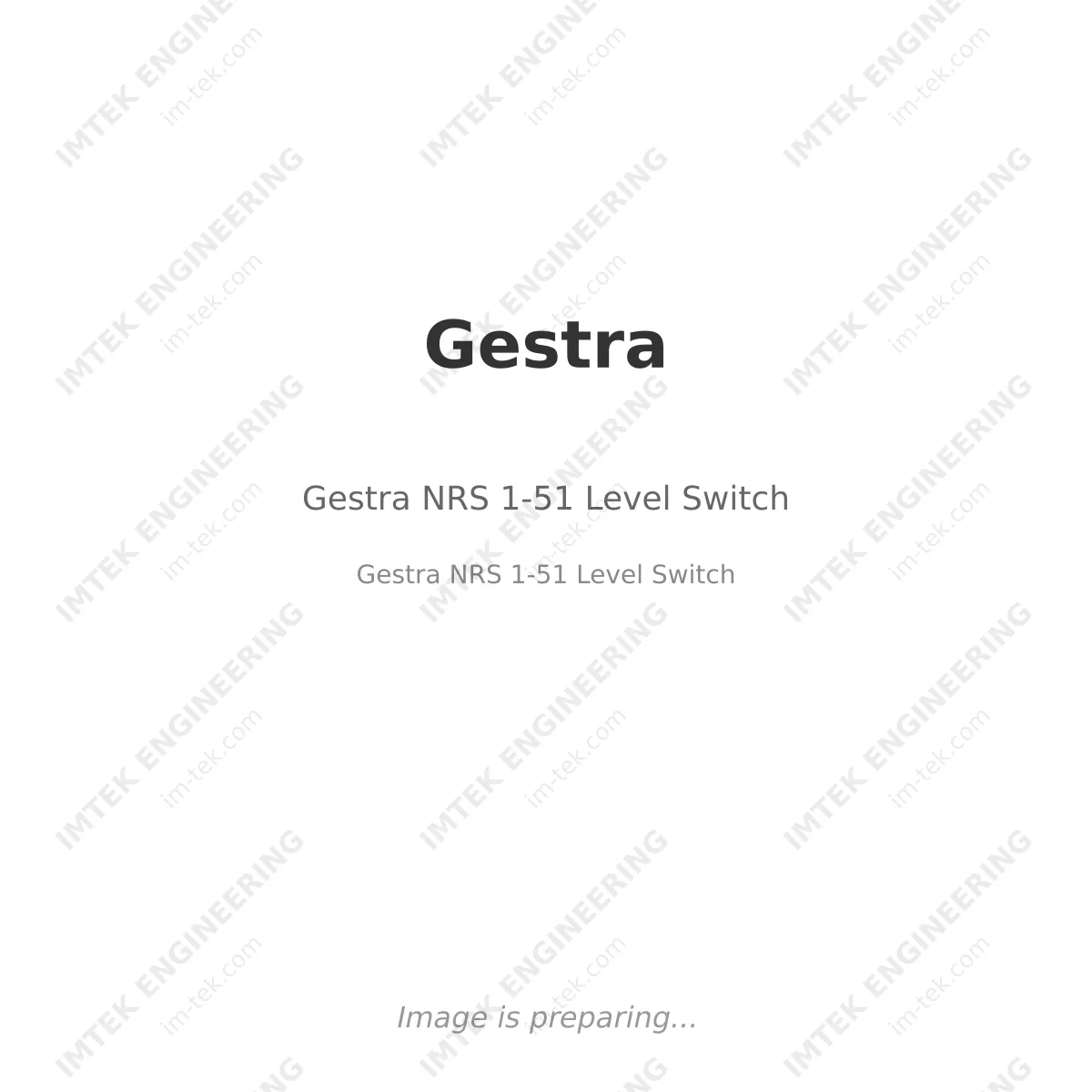 Gestra Gestra NRS 1-51 Level Switch - Gestra NRS 1-51 Level Switch