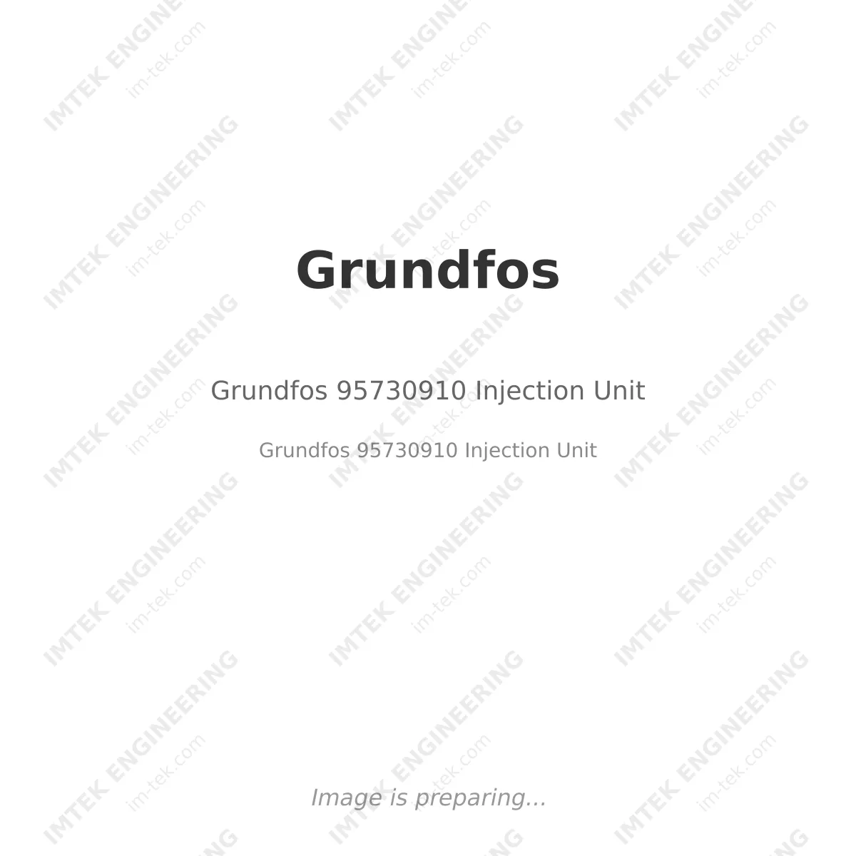 Grundfos Grundfos 95730910 Injection Unit - Grundfos 95730910 Injection Unit