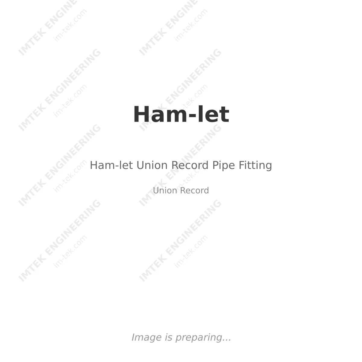 Ham-let Ham-let Union Record Pipe Fitting - Union Record