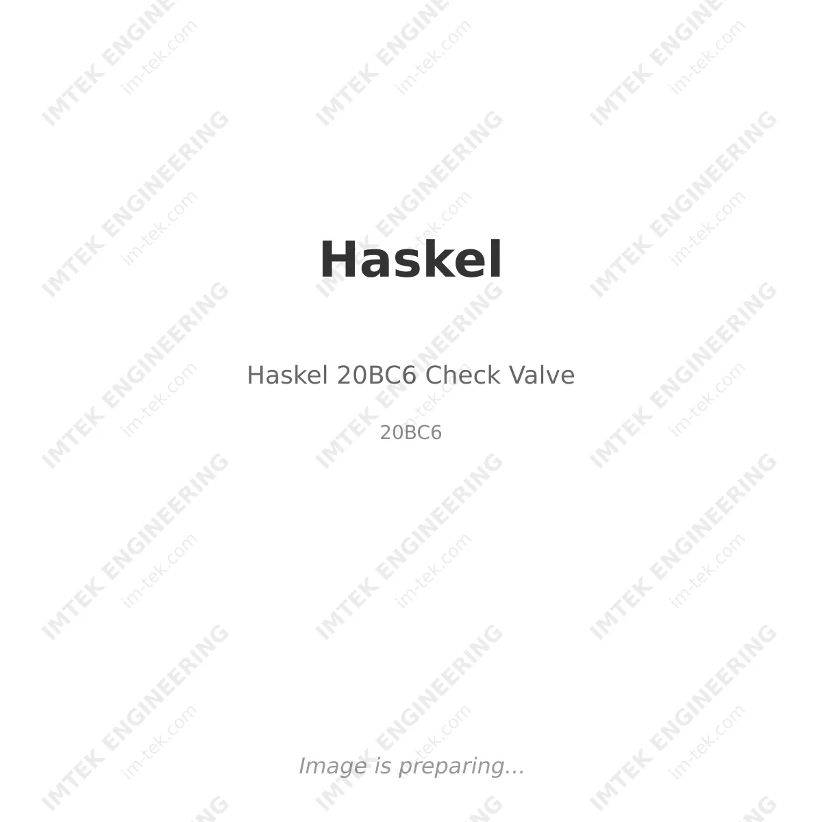 Haskel Haskel 20BC6 Check Valve - 20BC6