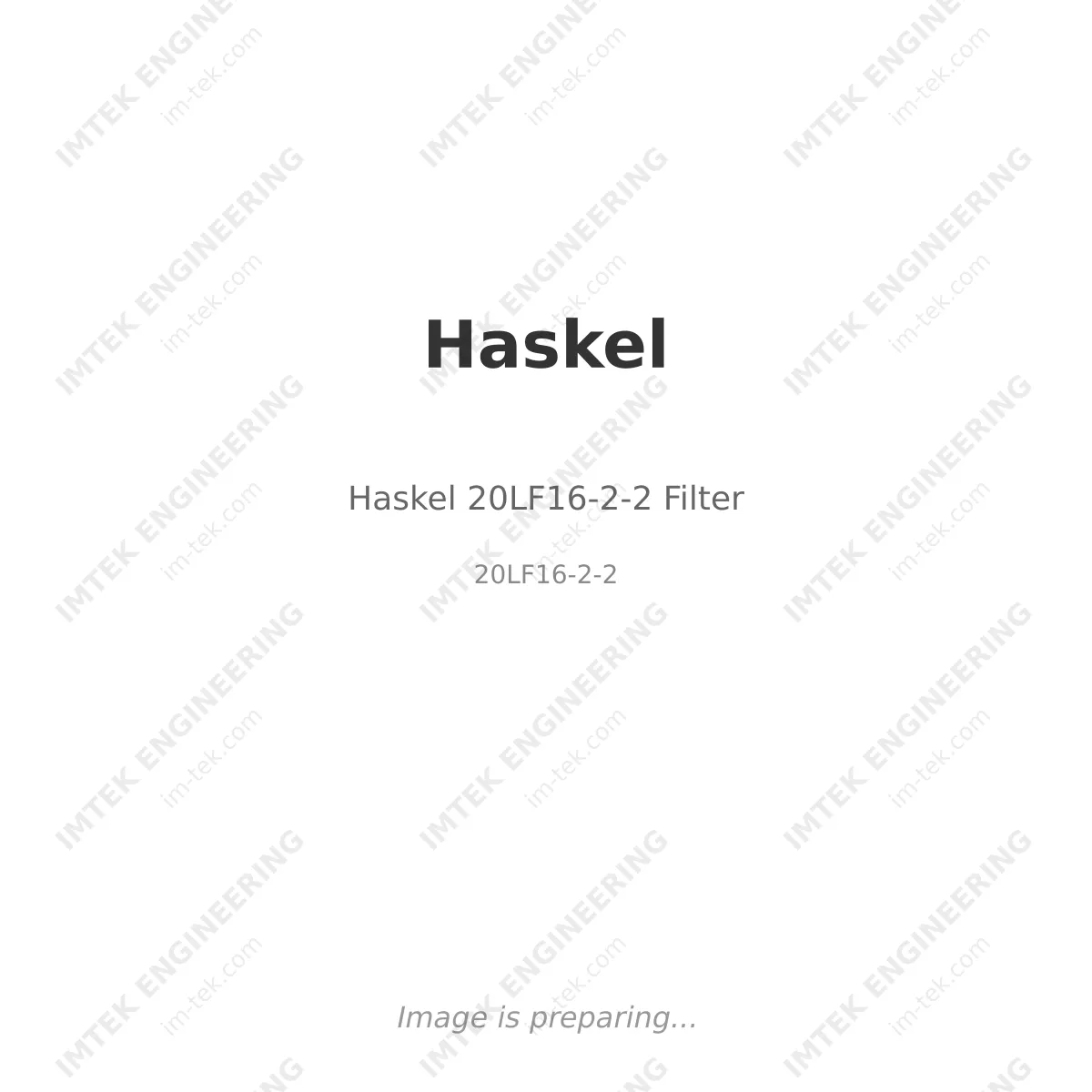 Haskel Haskel 20LF16-2-2 Filter - 20LF16-2-2