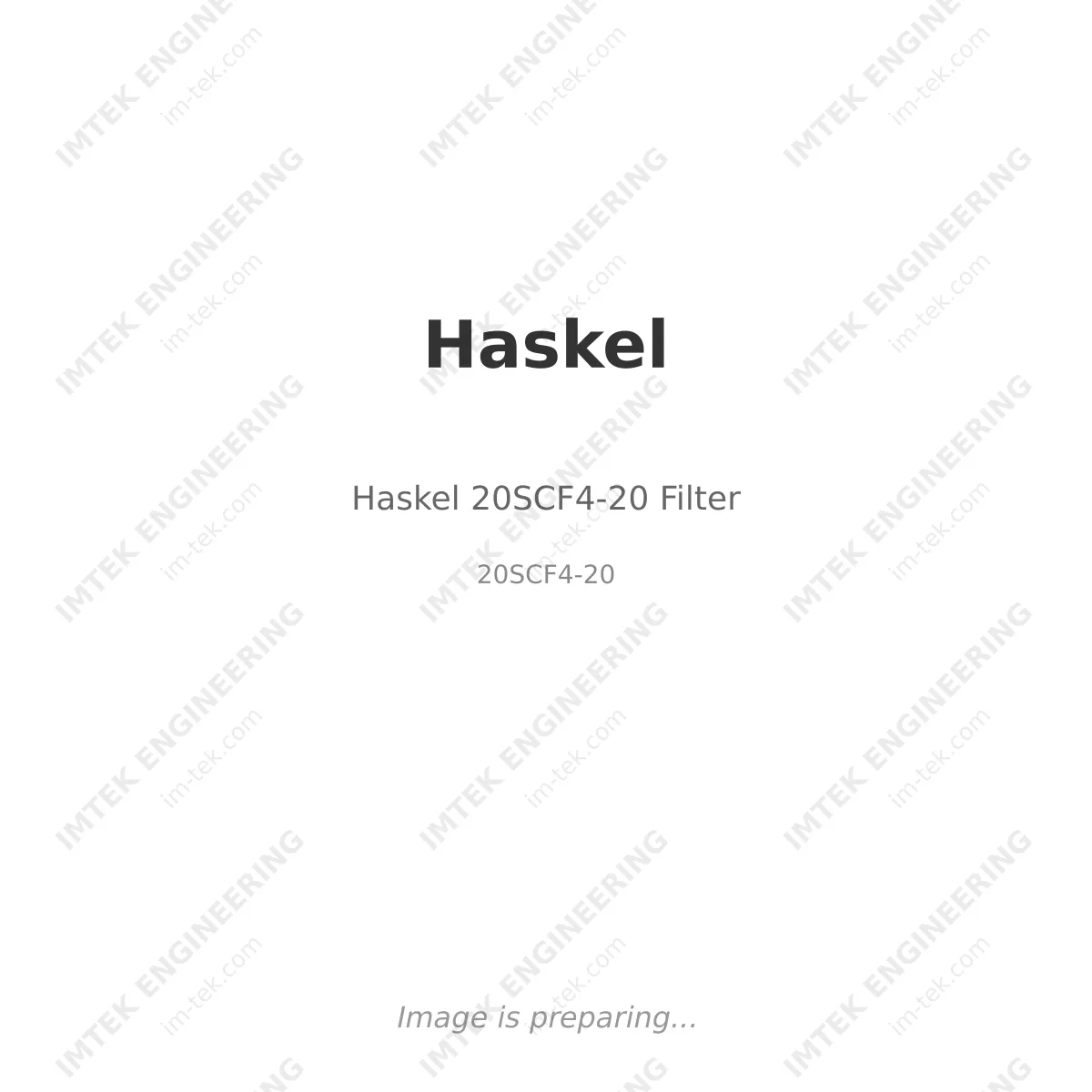 Haskel Haskel 20SCF4-20 Filter - 20SCF4-20