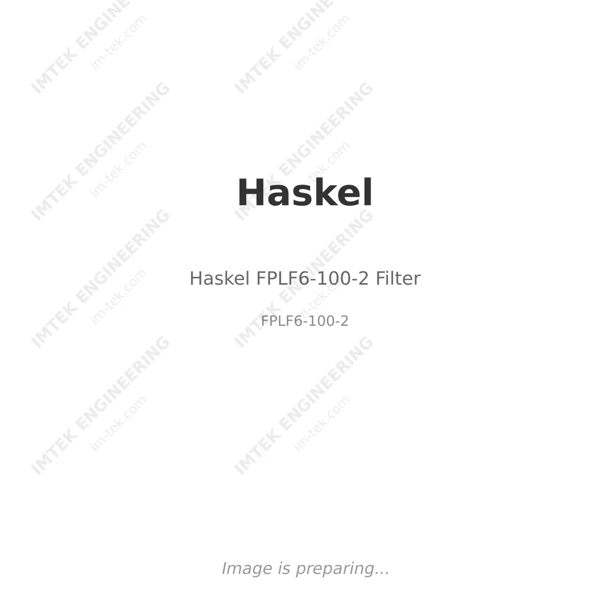 Haskel Haskel FPLF6-100-2 Filter - FPLF6-100-2