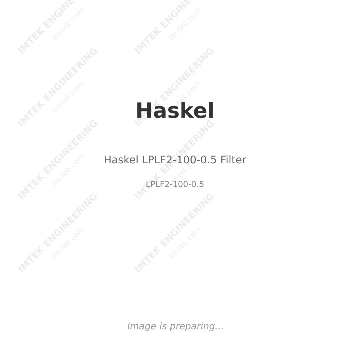 Haskel Haskel LPLF2-100-0.5 Filter - LPLF2-100-0.5