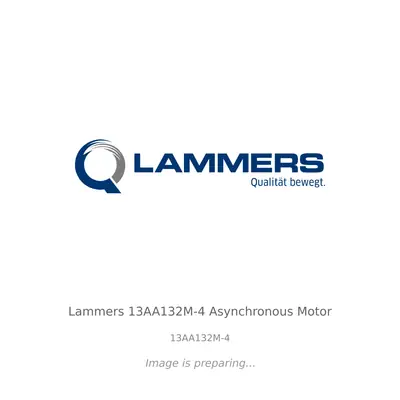 Lammers Lammers 13AA132M-4 Asynchronous Motor - 13AA132M-4
