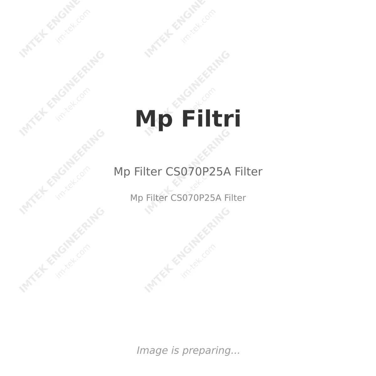 Mp Filtri Mp Filter CS070P25A Filter - Mp Filter CS070P25A Filter