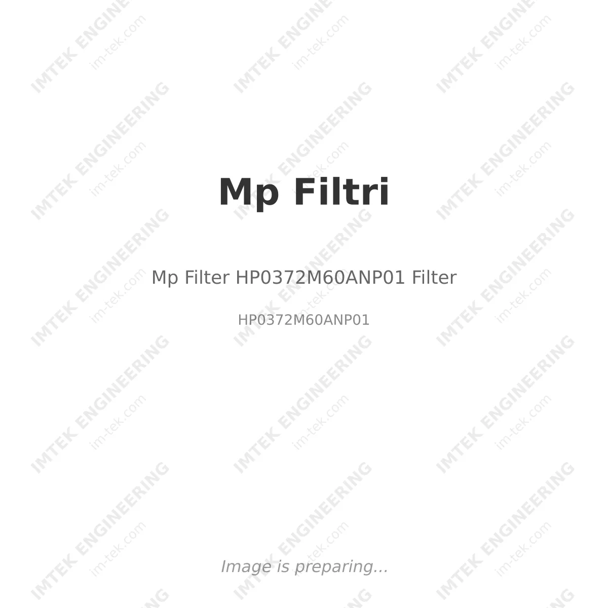 Mp Filtri Mp Filter HP0372M60ANP01 Filter - HP0372M60ANP01