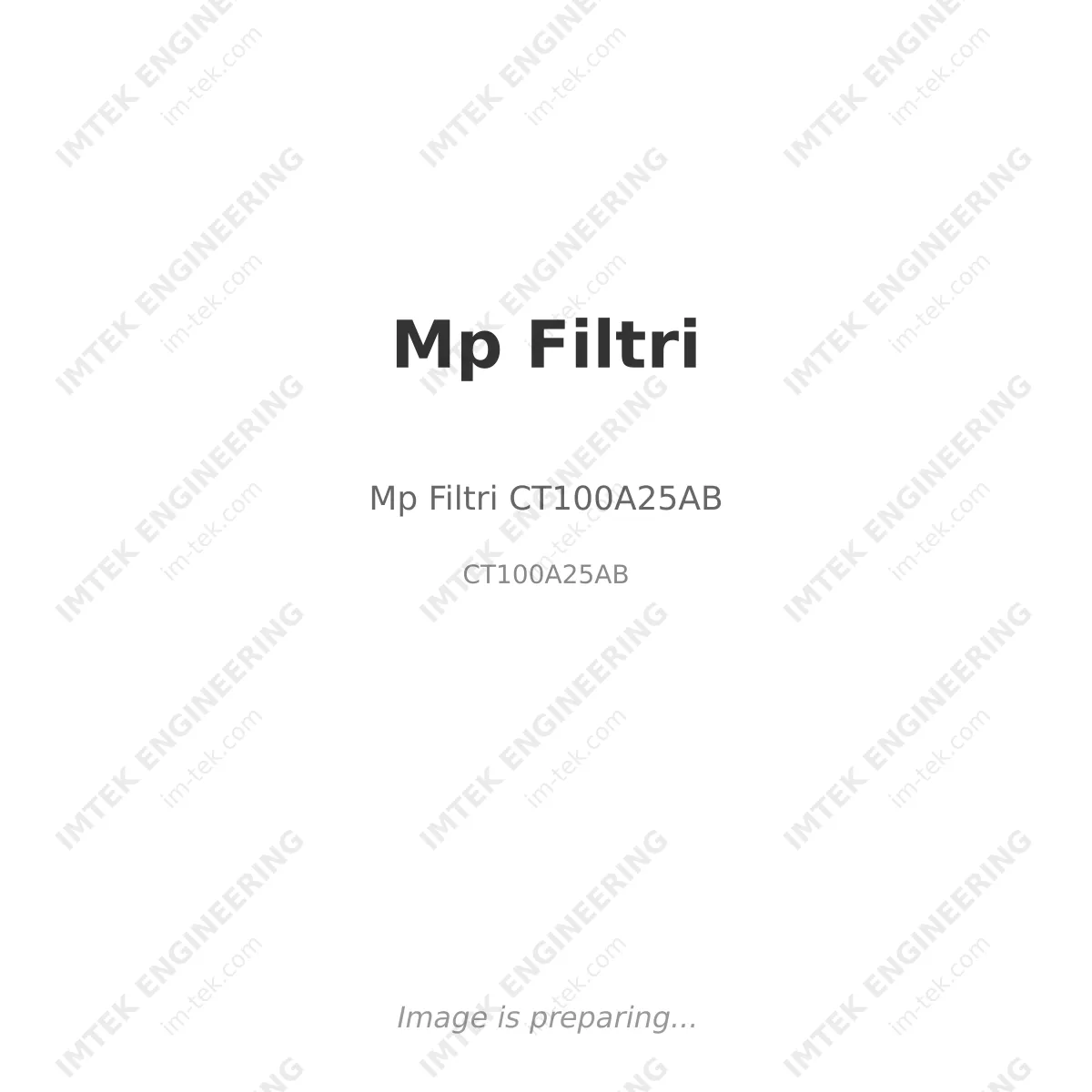 Mp Filtri Mp Filtri CT100A25AB - CT100A25AB