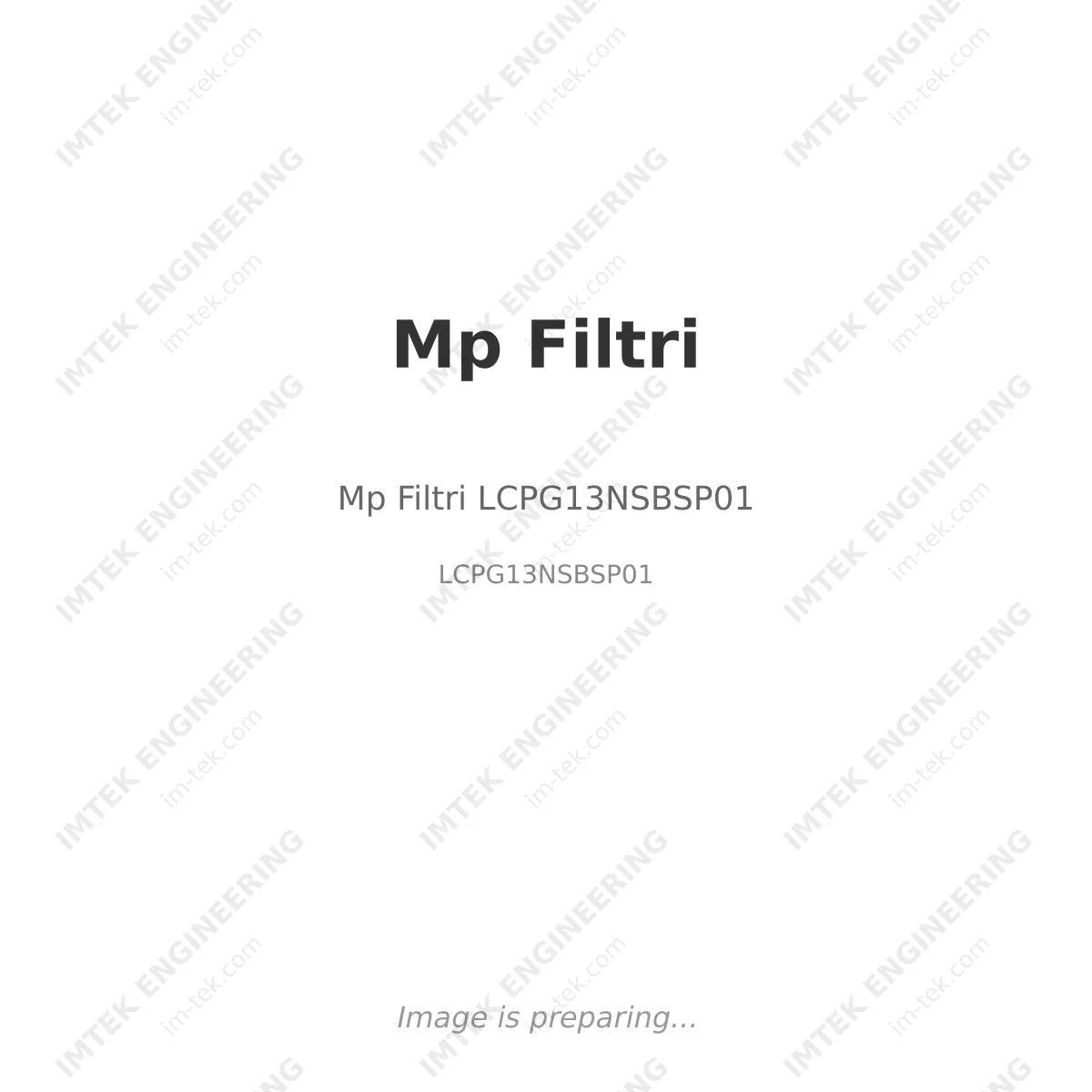 Mp Filtri Mp Filtri LCPG13NSBSP01 - LCPG13NSBSP01