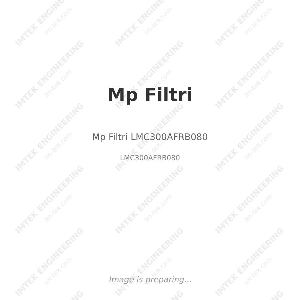Mp Filtri Mp Filtri LMC300AFRB080 - LMC300AFRB080