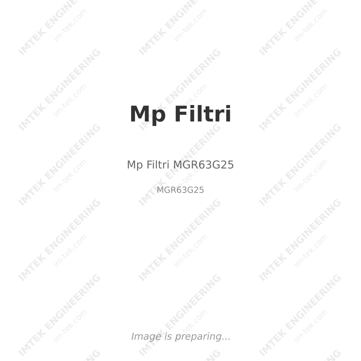 Mp Filtri Mp Filtri MGR63G25 - MGR63G25