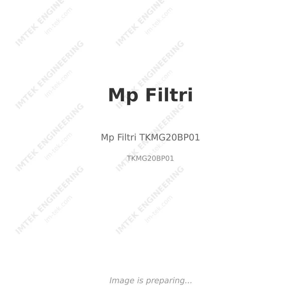 Mp Filtri Mp Filtri TKMG20BP01 - TKMG20BP01