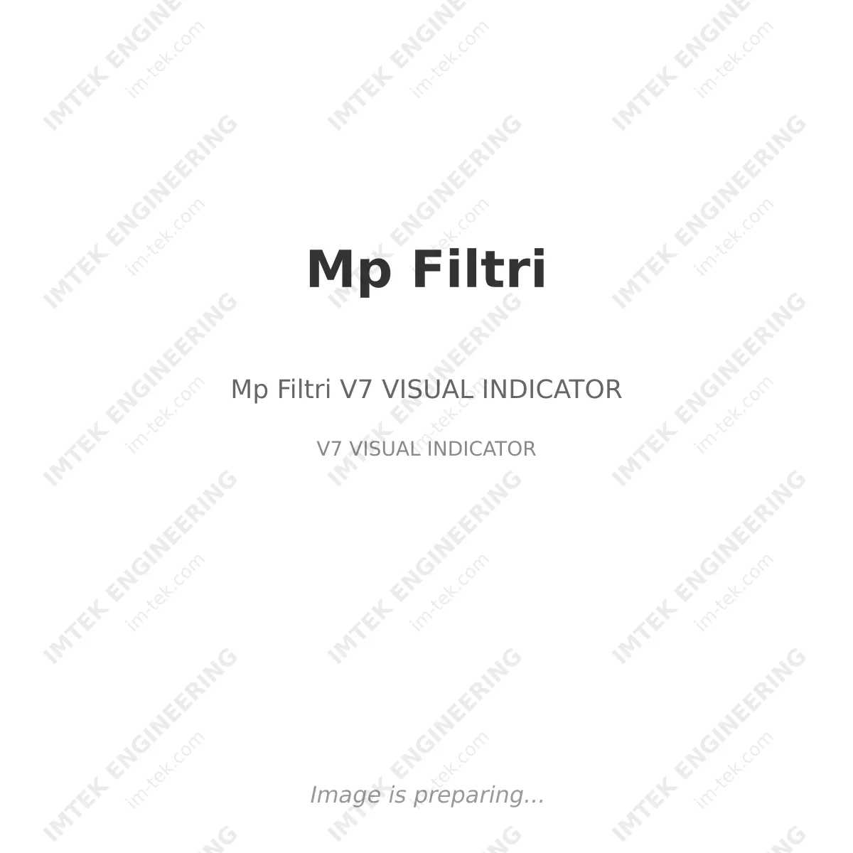 Mp Filtri Mp Filtri V7 VISUAL INDICATOR - V7 VISUAL INDICATOR
