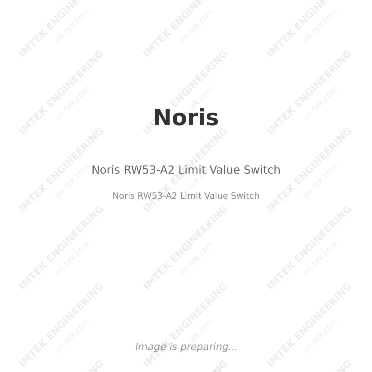 Noris Noris RW53-A2 Limit Value Switch - Noris RW53-A2 Limit Value Switch