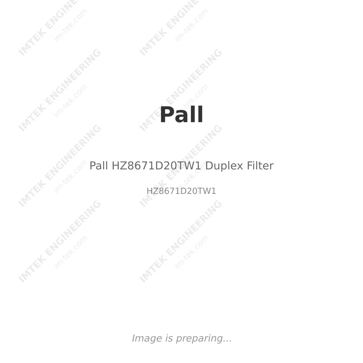 Pall Pall HZ8671D20TW1 Duplex Filter - HZ8671D20TW1
