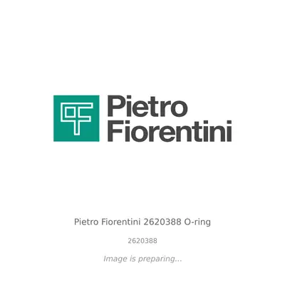 Pietro Fiorentini Pietro Fiorentini 2620388 O-ring - 2620388