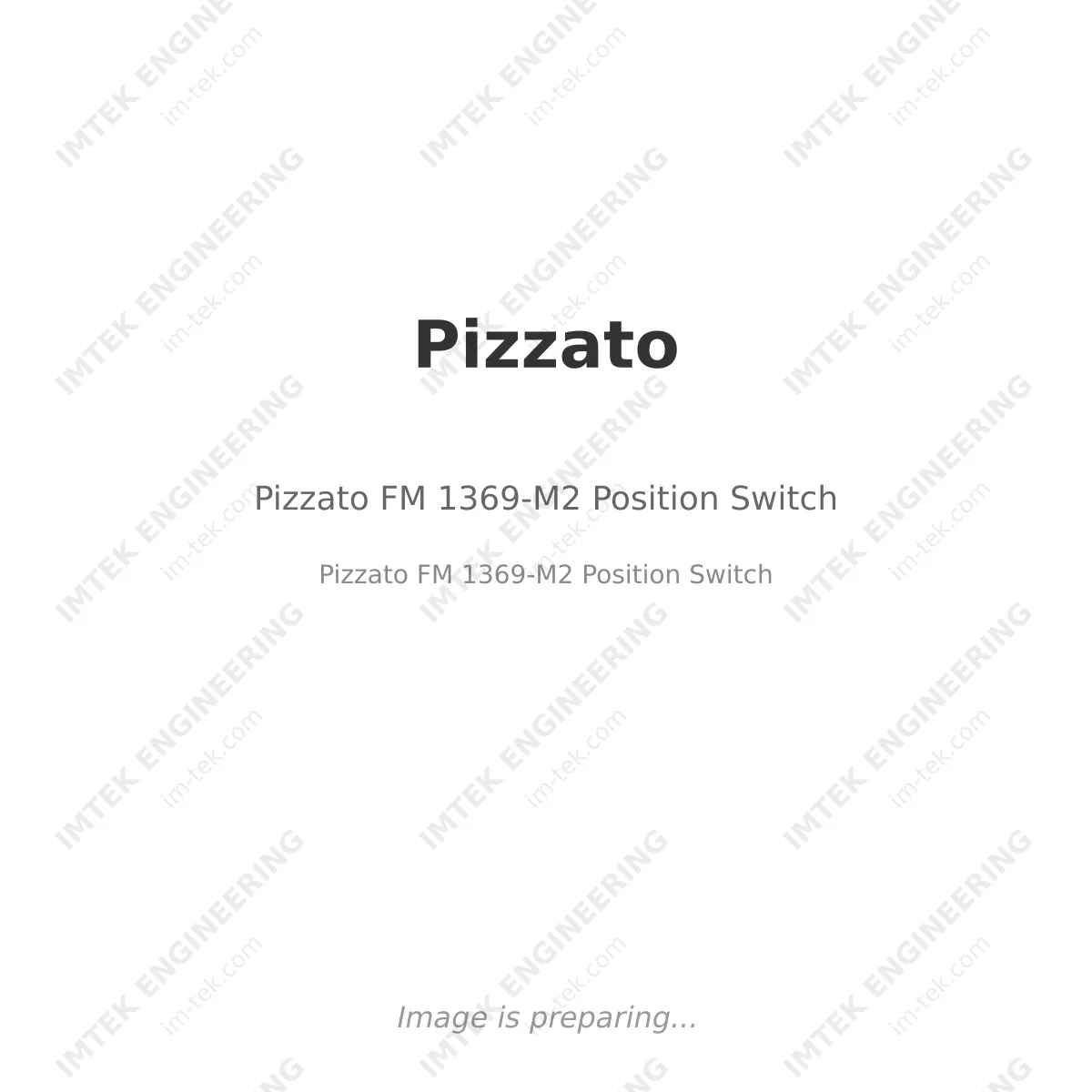 Pizzato Pizzato FM 1369-M2 Position Switch - Pizzato FM 1369-M2 Position Switch