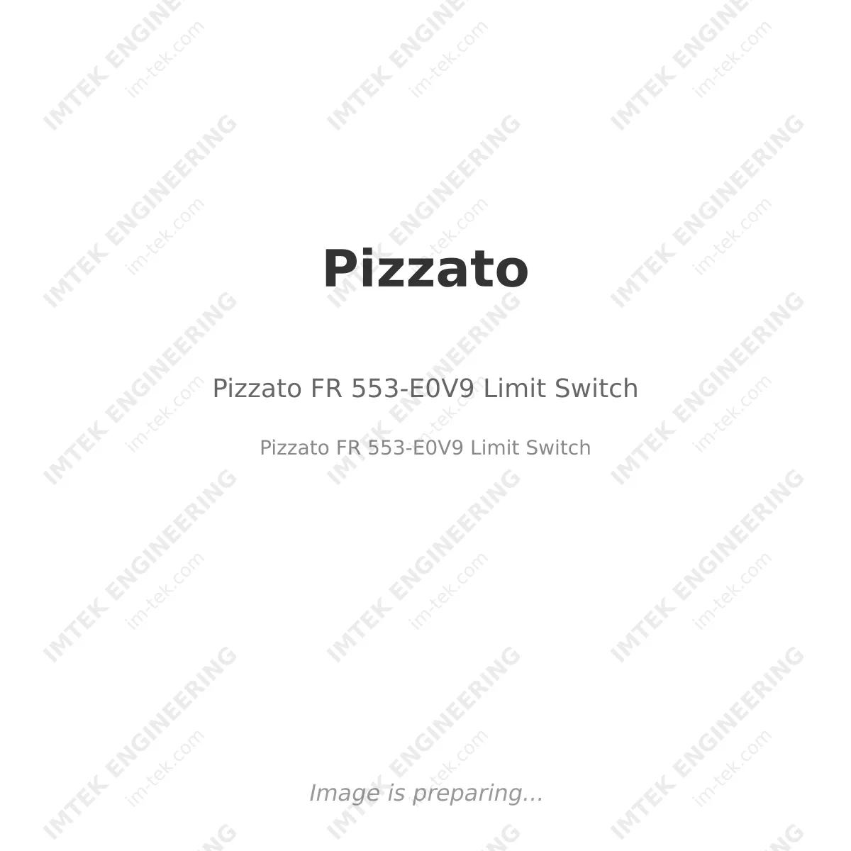 Pizzato Pizzato FR 553-E0V9 Limit Switch - Pizzato FR 553-E0V9 Limit Switch