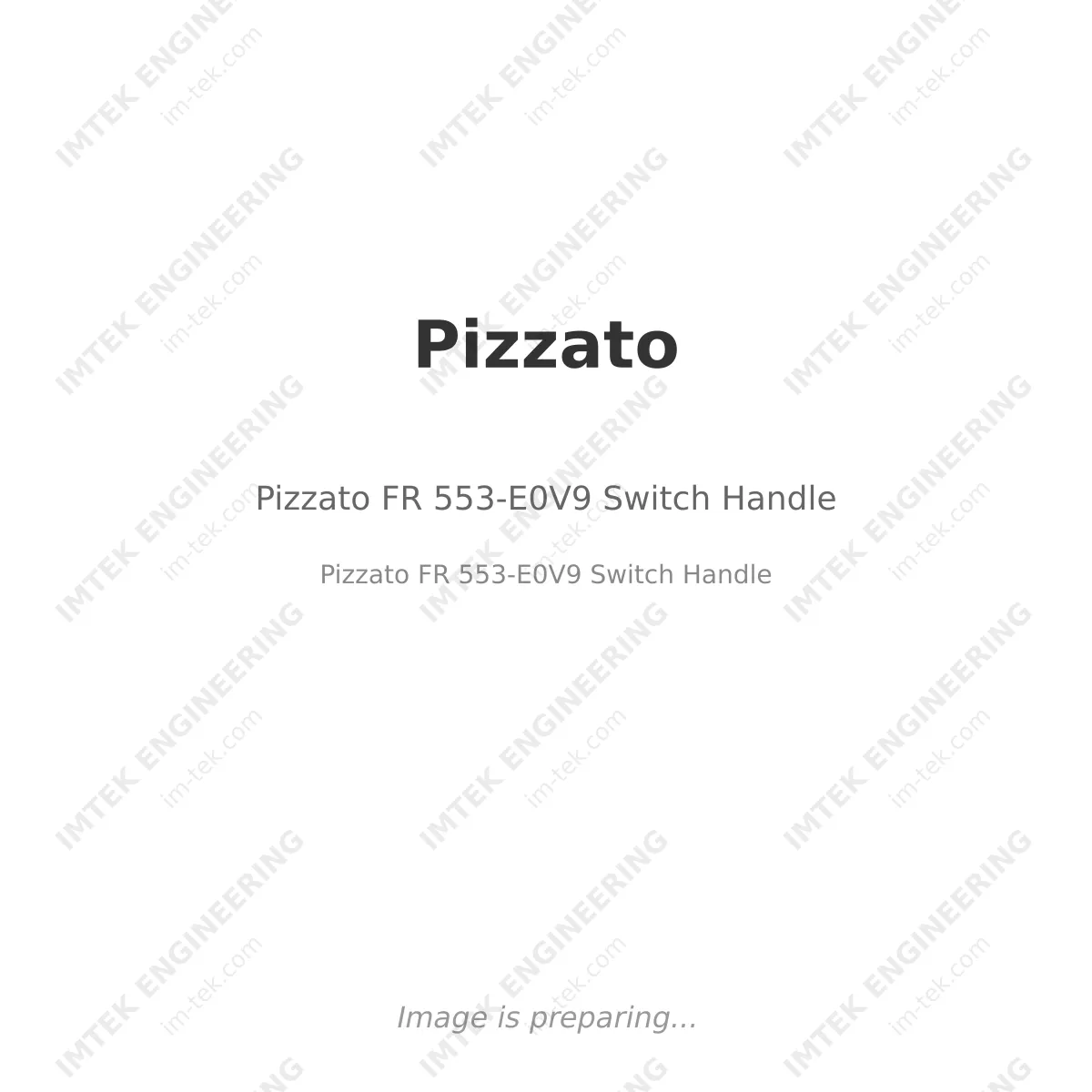 Pizzato Pizzato FR 553-E0V9 Switch Handle - Pizzato FR 553-E0V9 Switch Handle