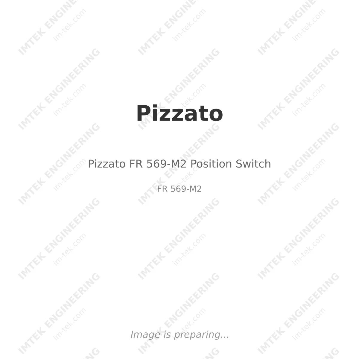 Pizzato Pizzato FR 569-M2 Position Switch - FR 569-M2