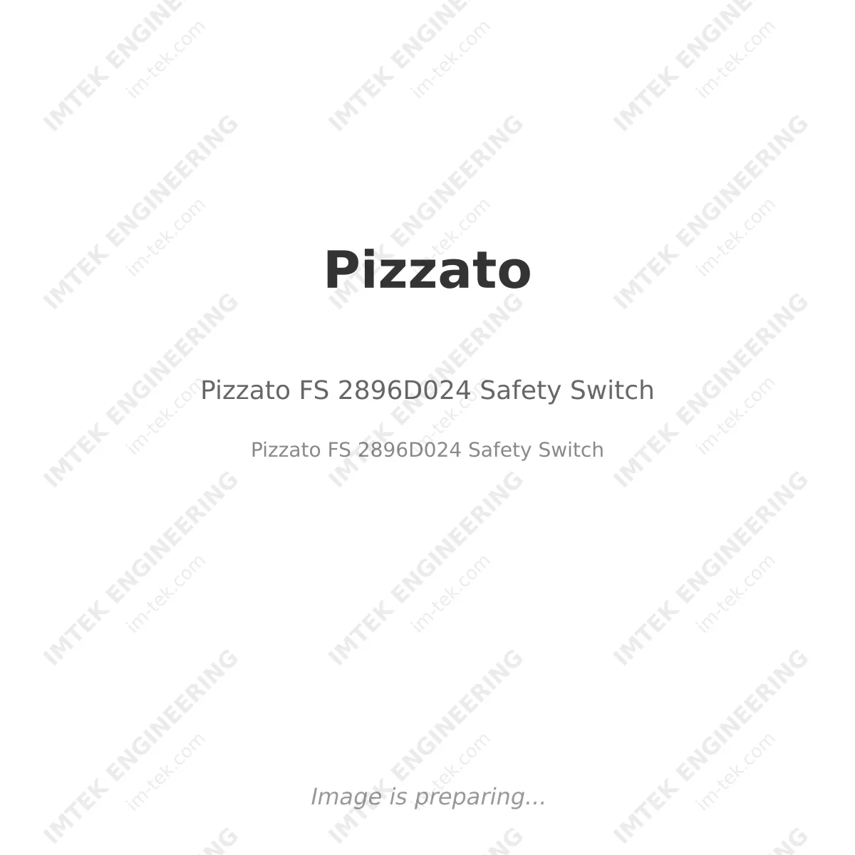 Pizzato Pizzato FS 2896D024 Safety Switch - Pizzato FS 2896D024 Safety Switch